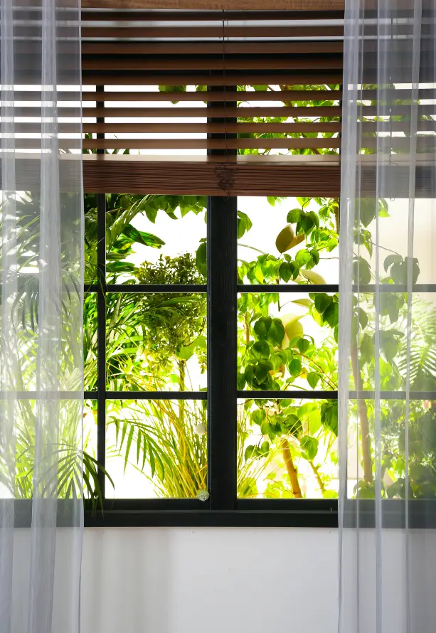 Roman Blind