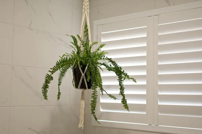 PVC Shutters Brisbane - A One Curtains & Blinds