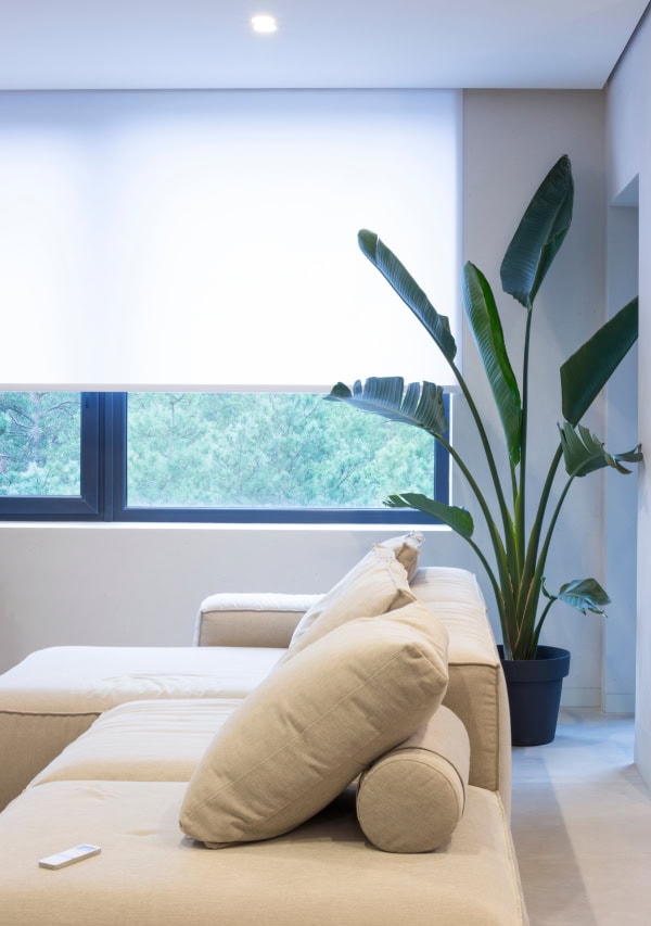 Roller Blinds Brisbane