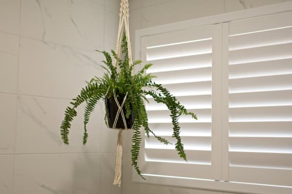 Manufacturer Shutters in Brisbane