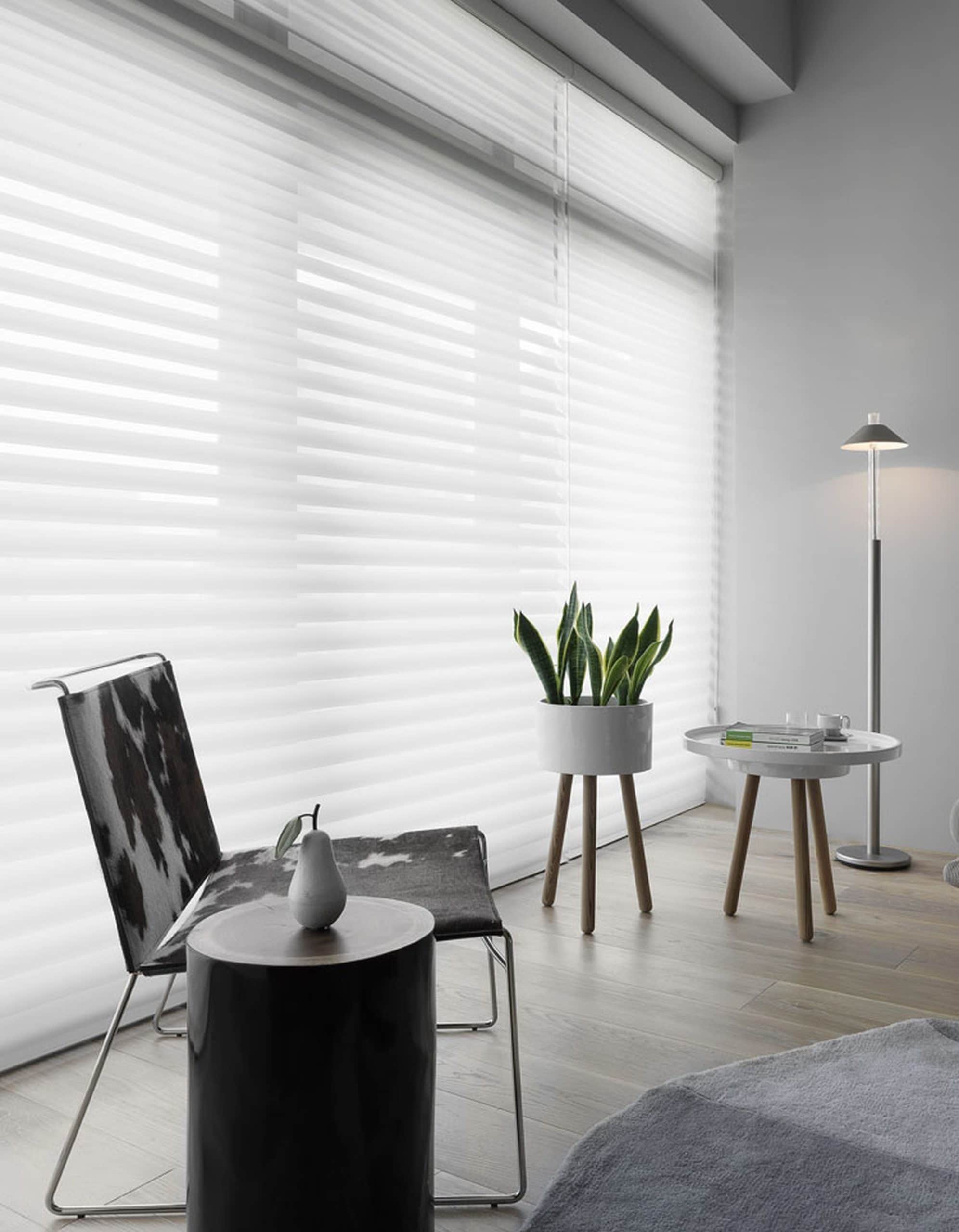 Zebra Blinds
